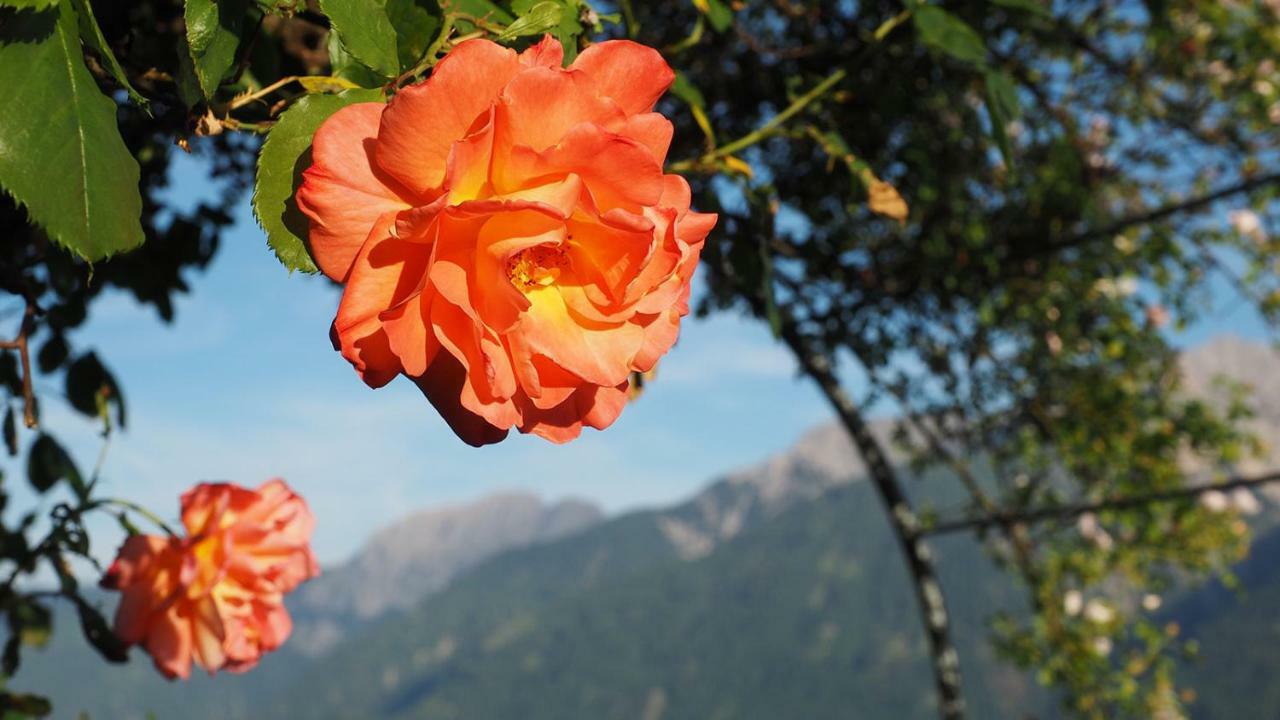 Irschen Bergh Am Berg 아파트 외부 사진
